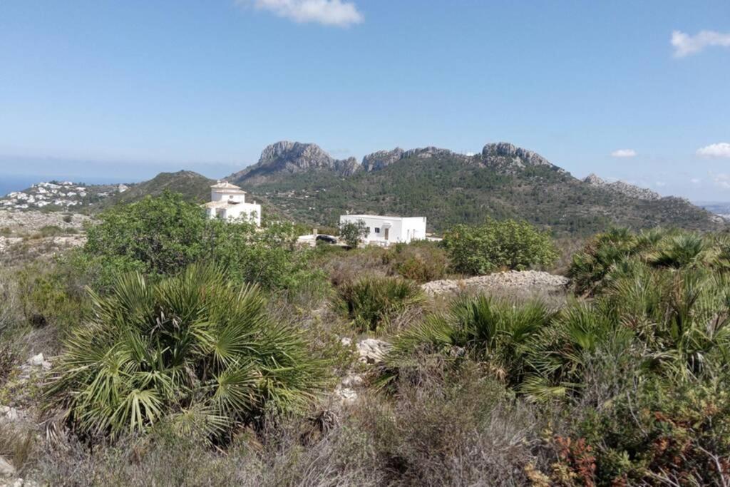 El Sol Blanco Βίλα Ráfol de Almunia Εξωτερικό φωτογραφία